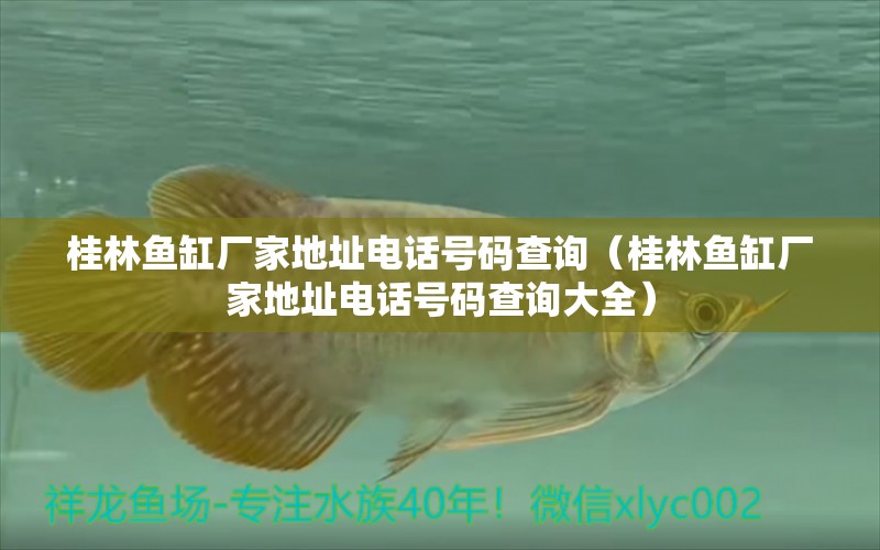 桂林魚缸廠家地址電話號(hào)碼查詢（桂林魚缸廠家地址電話號(hào)碼查詢大全）