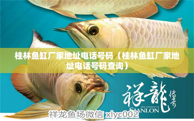 桂林魚(yú)缸廠家地址電話號(hào)碼（桂林魚(yú)缸廠家地址電話號(hào)碼查詢）