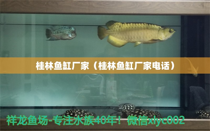 桂林魚(yú)缸廠家（桂林魚(yú)缸廠家電話）