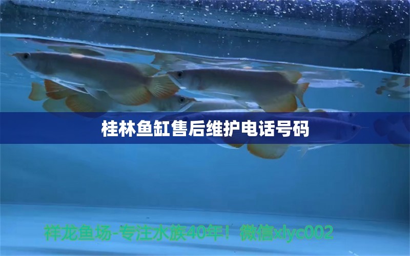 桂林魚缸售后維護電話號碼 其他品牌魚缸