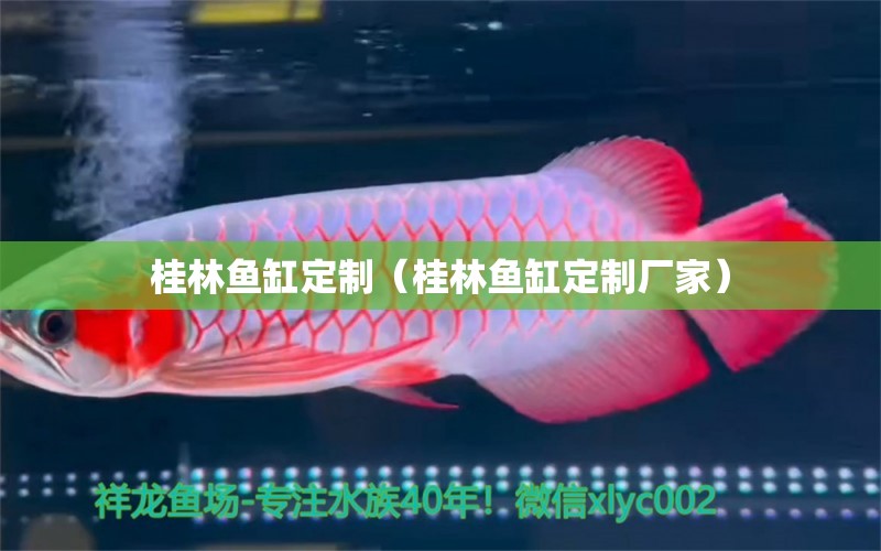 桂林魚缸定制（桂林魚缸定制廠家）