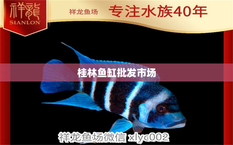 桂林魚缸批發(fā)市場 其他品牌魚缸