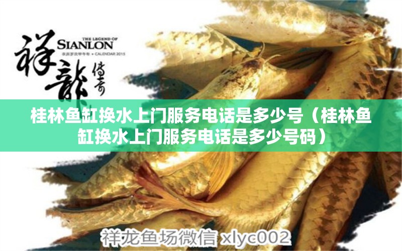 桂林魚(yú)缸換水上門(mén)服務(wù)電話(huà)是多少號(hào)（桂林魚(yú)缸換水上門(mén)服務(wù)電話(huà)是多少號(hào)碼） 觀(guān)賞魚(yú)市場(chǎng)（混養(yǎng)魚(yú)）