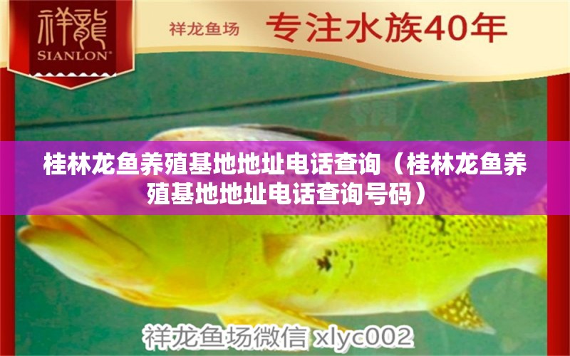 桂林龍魚養(yǎng)殖基地地址電話查詢（桂林龍魚養(yǎng)殖基地地址電話查詢號(hào)碼）