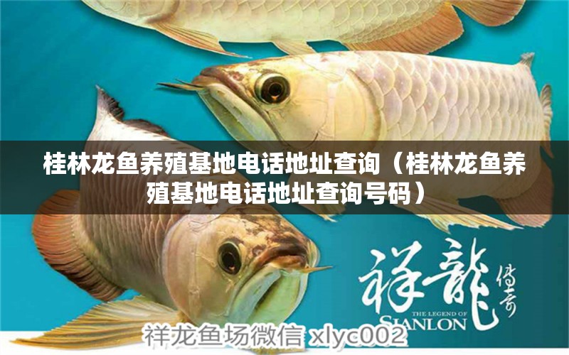 桂林龍魚養(yǎng)殖基地電話地址查詢（桂林龍魚養(yǎng)殖基地電話地址查詢號碼）