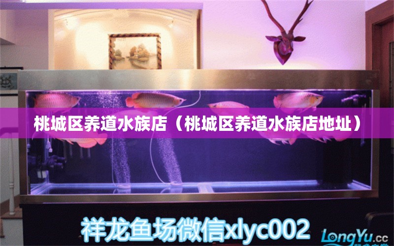 桃城區(qū)養(yǎng)道水族店（桃城區(qū)養(yǎng)道水族店地址）