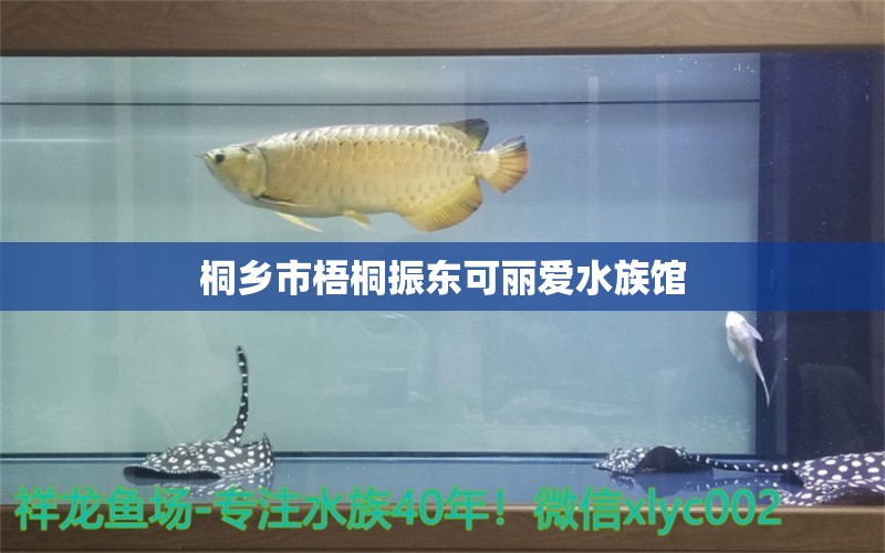 桐鄉(xiāng)市梧桐振東可麗愛水族館