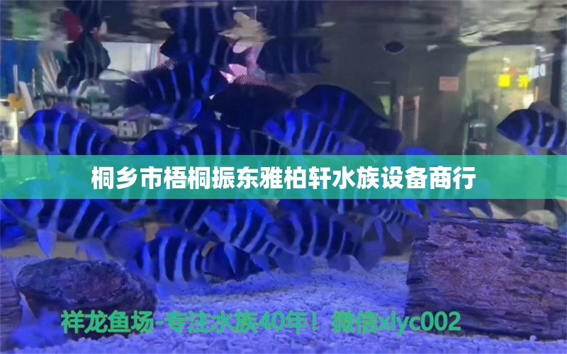 桐鄉(xiāng)市梧桐振東雅柏軒水族設(shè)備商行