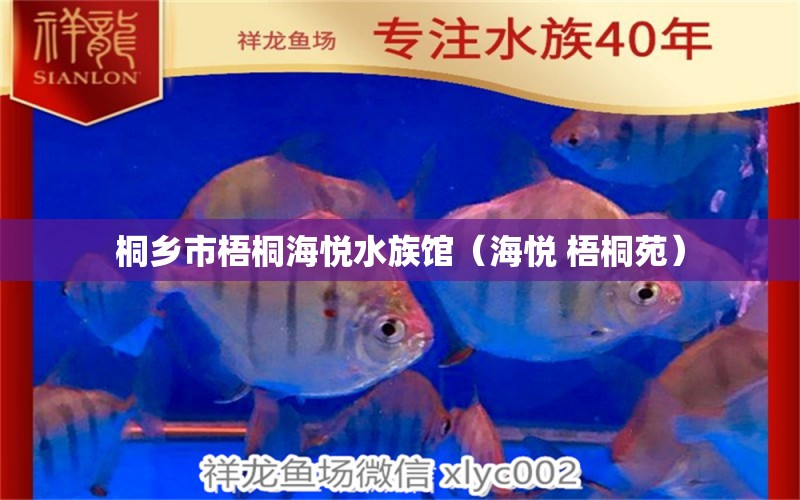 桐鄉(xiāng)市梧桐海悅水族館（海悅 梧桐苑）