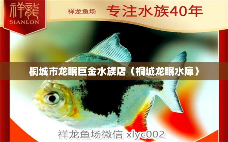 桐城市龍眠巨金水族店（桐城龍眠水庫） 全國水族館企業(yè)名錄