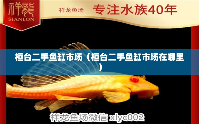 桓臺(tái)二手魚缸市場(chǎng)（桓臺(tái)二手魚缸市場(chǎng)在哪里）