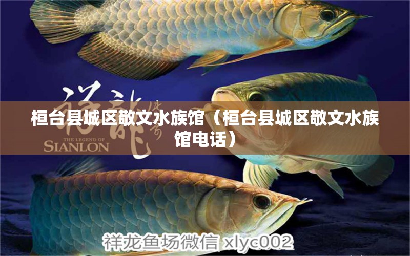 桓臺(tái)縣城區(qū)敬文水族館（桓臺(tái)縣城區(qū)敬文水族館電話）