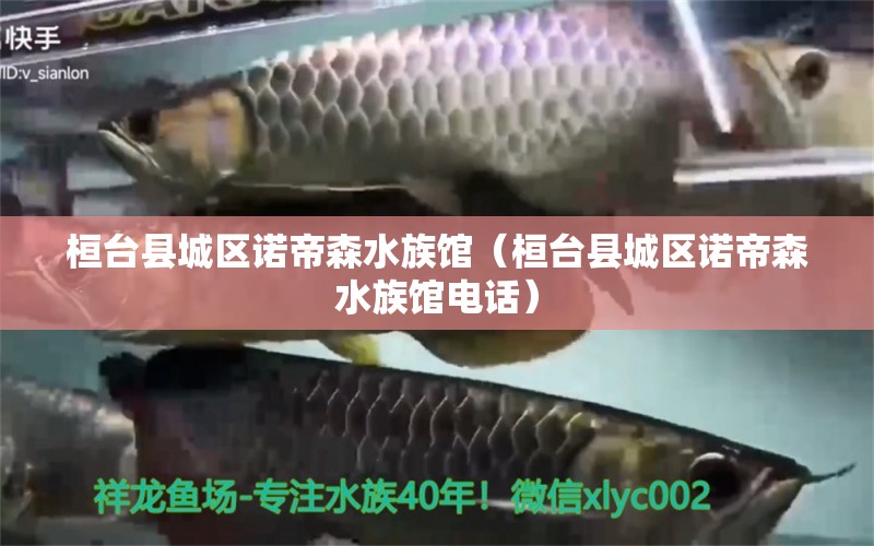 桓臺縣城區(qū)諾帝森水族館（桓臺縣城區(qū)諾帝森水族館電話） 全國水族館企業(yè)名錄