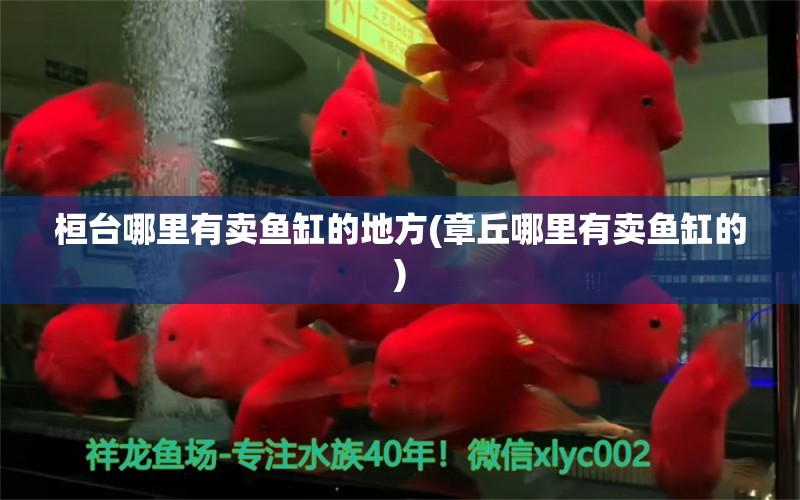 桓臺哪里有賣魚缸的地方(章丘哪里有賣魚缸的) 巴西亞魚苗