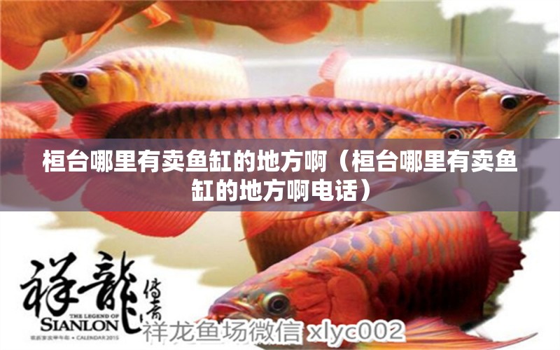 桓臺(tái)哪里有賣魚缸的地方?。ɑ概_(tái)哪里有賣魚缸的地方啊電話） 觀賞魚進(jìn)出口