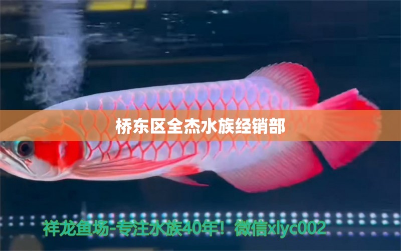 橋東區(qū)全杰水族經(jīng)銷部