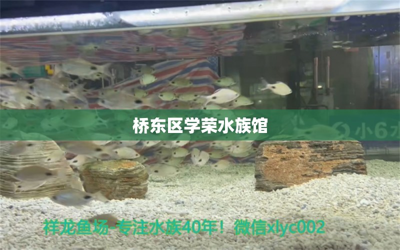 橋東區(qū)學(xué)榮水族館