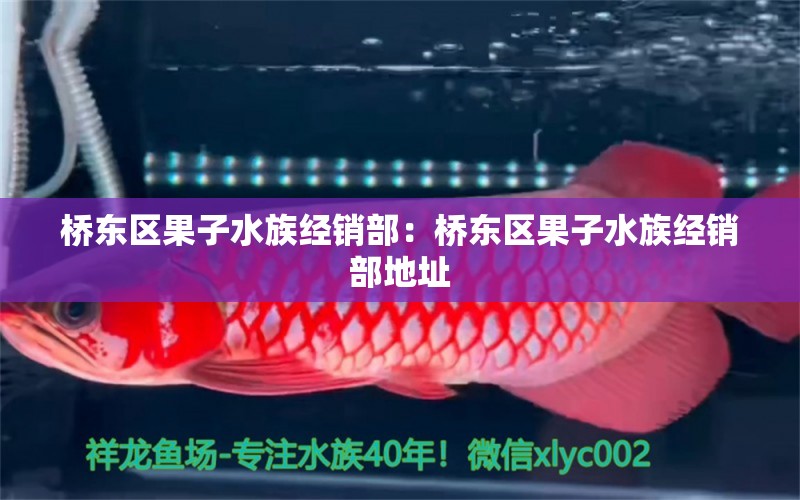 橋東區(qū)果子水族經(jīng)銷部：橋東區(qū)果子水族經(jīng)銷部地址