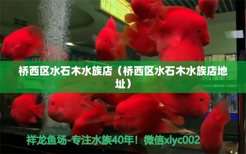 橋西區(qū)水石木水族店（橋西區(qū)水石木水族店地址） 全國水族館企業(yè)名錄