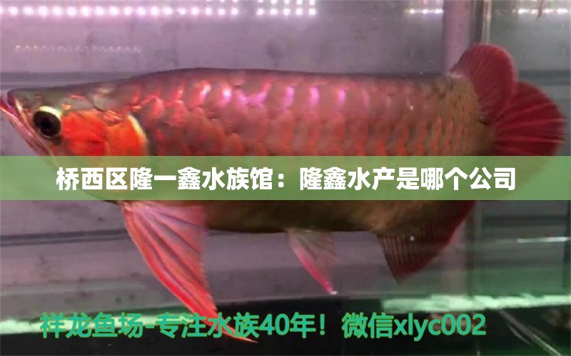 橋西區(qū)隆一鑫水族館：隆鑫水產(chǎn)是哪個公司