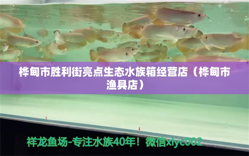 樺甸市勝利街亮點生態(tài)水族箱經(jīng)營店（樺甸市漁具店）