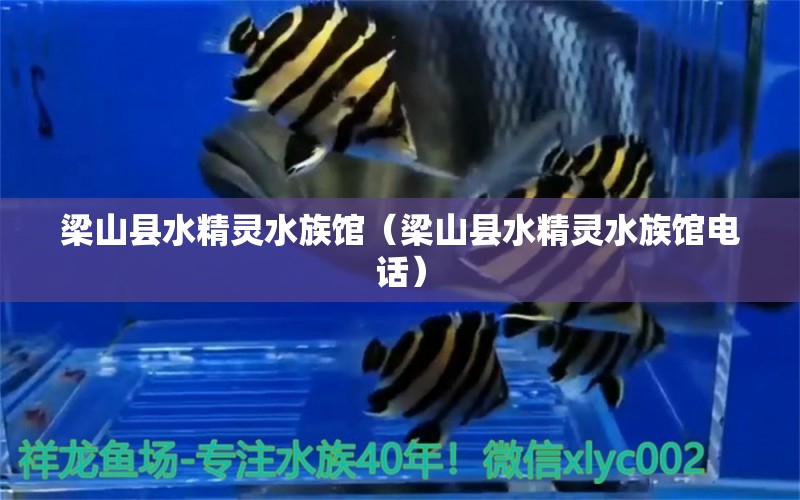 梁山縣水精靈水族館（梁山縣水精靈水族館電話）