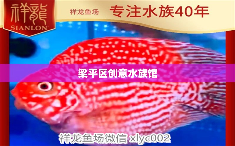 梁平區(qū)創(chuàng)意水族館