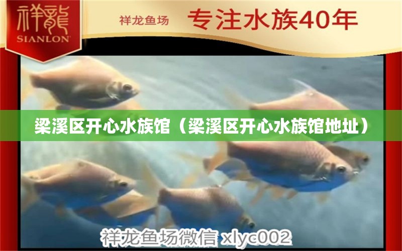 梁溪區(qū)開心水族館（梁溪區(qū)開心水族館地址）