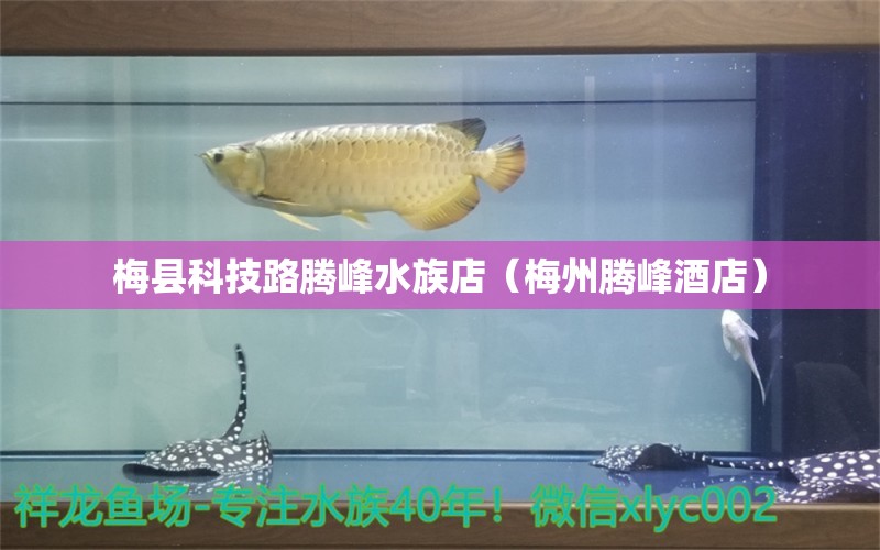 梅縣科技路騰峰水族店（梅州騰峰酒店） 全國水族館企業(yè)名錄