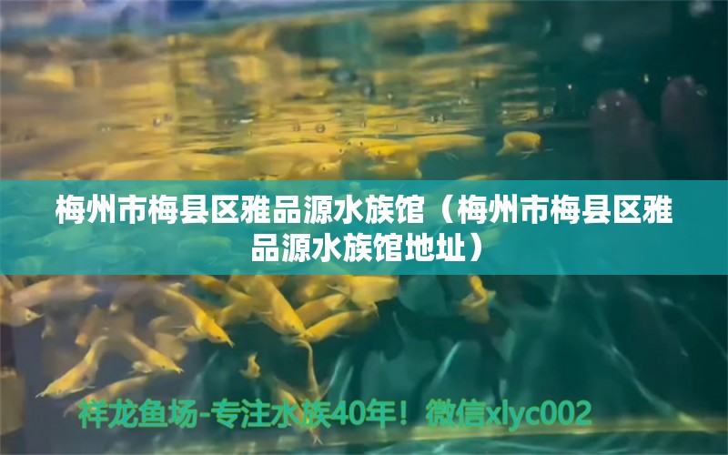 梅州市梅縣區(qū)雅品源水族館（梅州市梅縣區(qū)雅品源水族館地址）