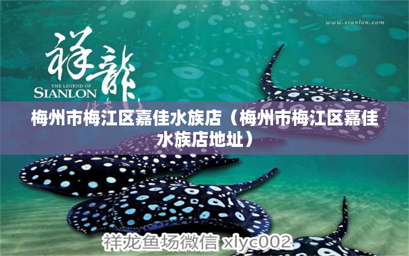 梅州市梅江區(qū)嘉佳水族店（梅州市梅江區(qū)嘉佳水族店地址）