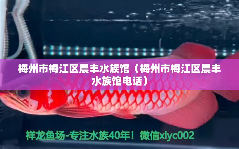 梅州市梅江區(qū)晨豐水族館（梅州市梅江區(qū)晨豐水族館電話） 全國(guó)水族館企業(yè)名錄