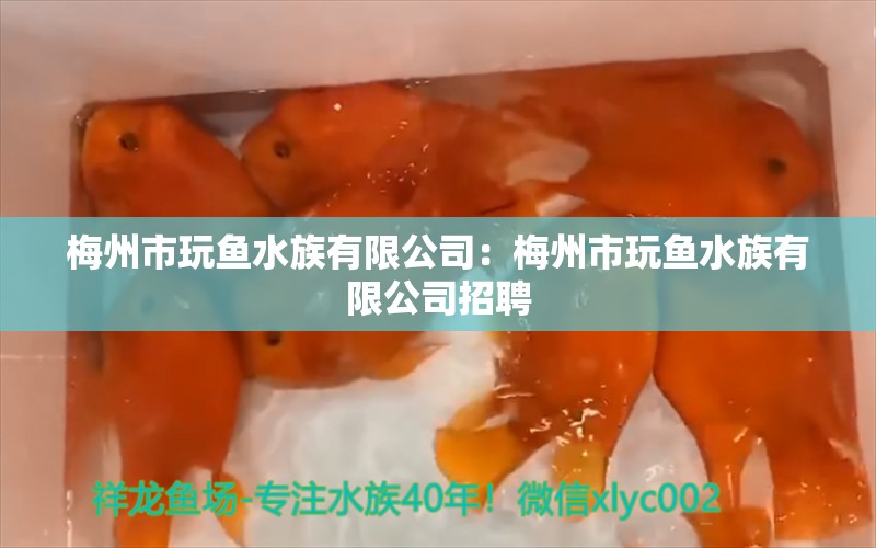 梅州市玩魚水族有限公司：梅州市玩魚水族有限公司招聘