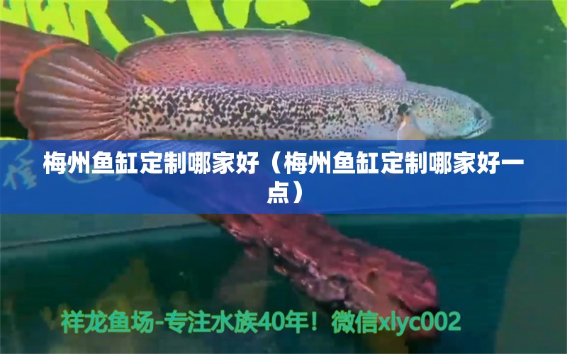 梅州魚缸定制哪家好（梅州魚缸定制哪家好一點） 水族問答 第1張