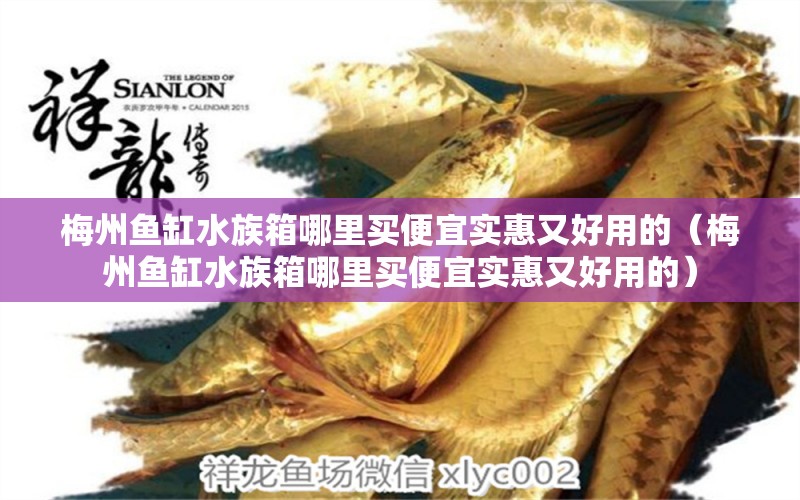 梅州魚缸水族箱哪里買便宜實(shí)惠又好用的（梅州魚缸水族箱哪里買便宜實(shí)惠又好用的） 魚缸/水族箱