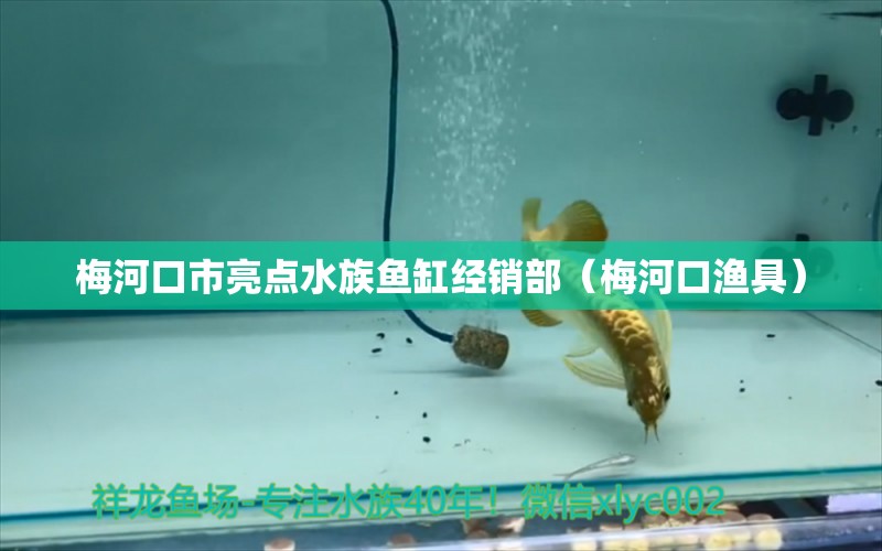 梅河口市亮點(diǎn)水族魚缸經(jīng)銷部（梅河口漁具）