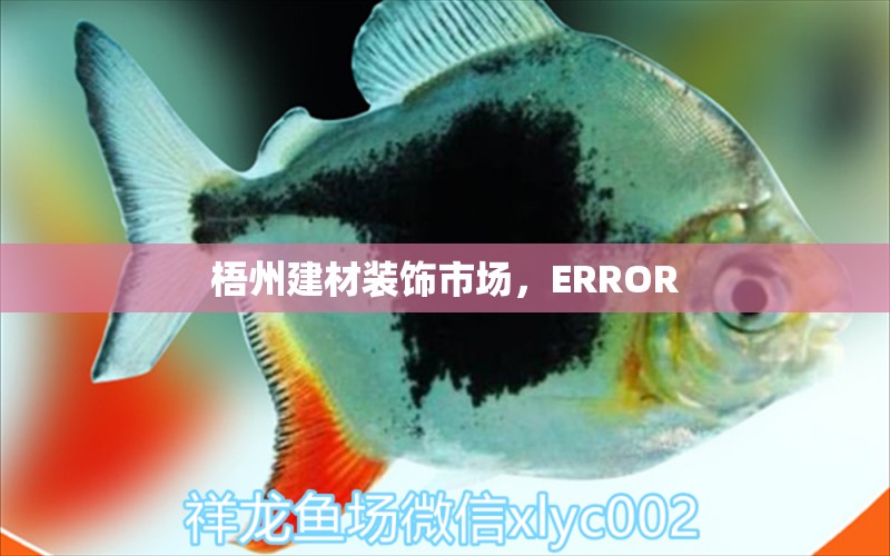 梧州建材裝飾市場(chǎng)，ERROR