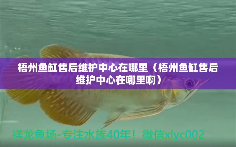 梧州魚缸售后維護中心在哪里（梧州魚缸售后維護中心在哪里啊）