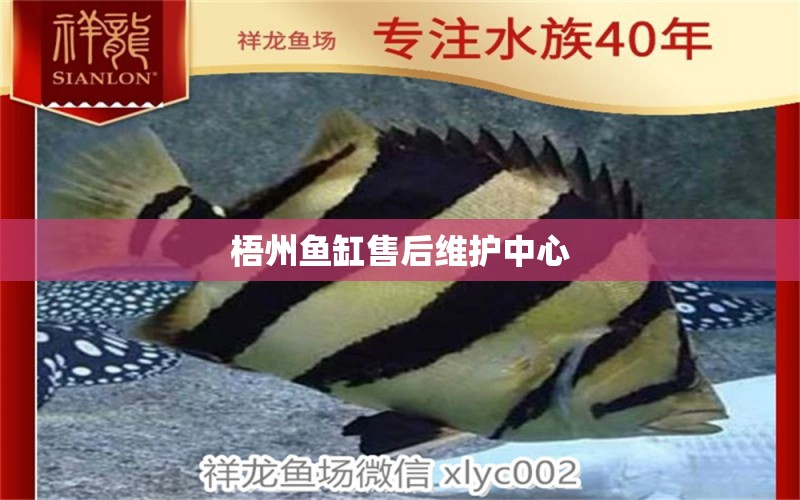 梧州魚缸售后維護(hù)中心