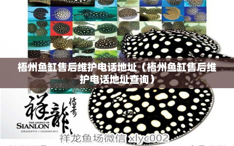 梧州魚(yú)缸售后維護(hù)電話地址（梧州魚(yú)缸售后維護(hù)電話地址查詢）