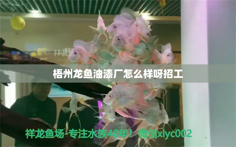 梧州龍魚(yú)油漆廠怎么樣呀招工