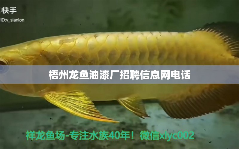 梧州龍魚(yú)油漆廠招聘信息網(wǎng)電話 祥龍魚(yú)場(chǎng)