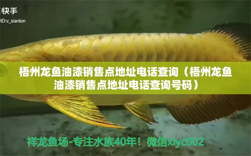 梧州龍魚油漆銷售點地址電話查詢（梧州龍魚油漆銷售點地址電話查詢號碼）