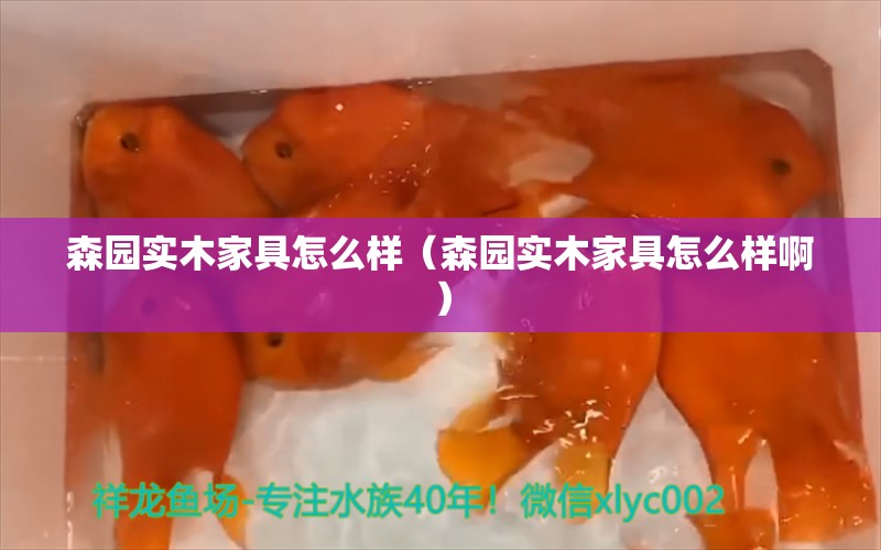 森園實木家具怎么樣（森園實木家具怎么樣?。? title=