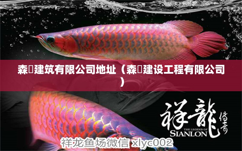 森垚建筑有限公司地址（森垚建設(shè)工程有限公司） 森森魚缸