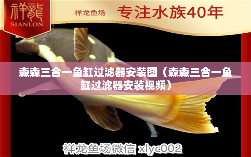 森森三合一魚缸過濾器安裝圖（森森三合一魚缸過濾器安裝視頻）