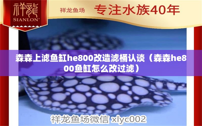 森森上濾魚缸he800改造濾桶認(rèn)談（森森h(huán)e800魚缸怎么改過濾）