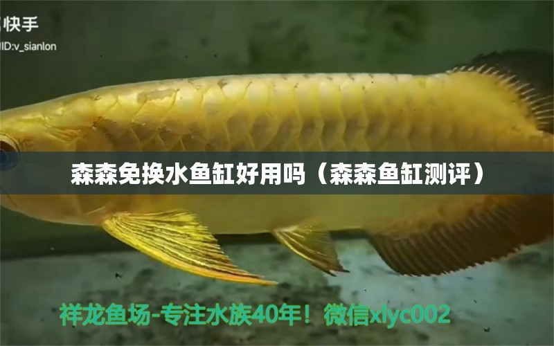 森森免換水魚缸好用嗎（森森魚缸測評）