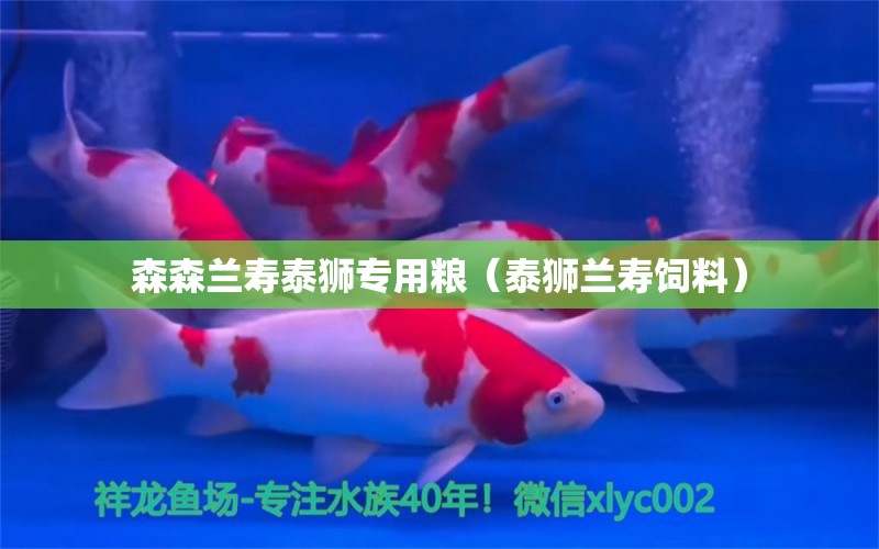 森森蘭壽泰獅專用糧（泰獅蘭壽飼料） 森森魚缸