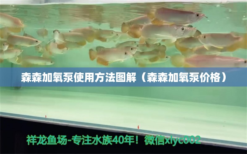 森森加氧泵使用方法圖解（森森加氧泵價(jià)格） 森森魚(yú)缸